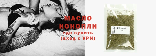 индика Заволжск