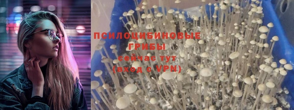 не бодяженный Аркадак