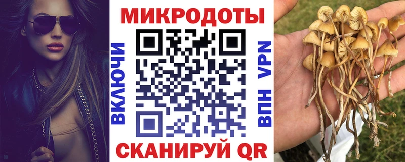 Псилоцибиновые грибы ЛСД  Минеральные Воды 